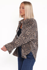 Elias Shacket - Leopard