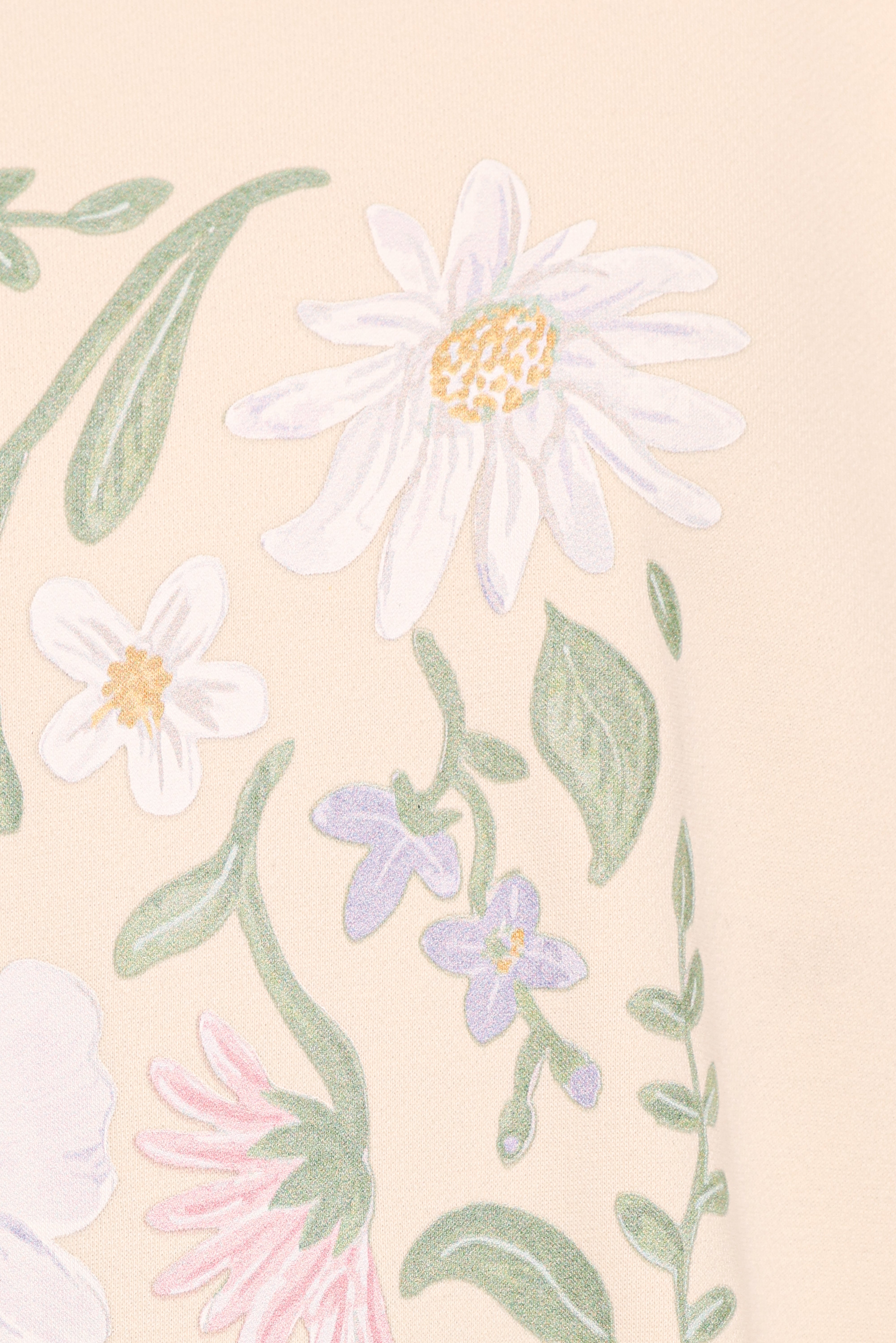 Flower Garden Graphic Sweatshirt - Cream