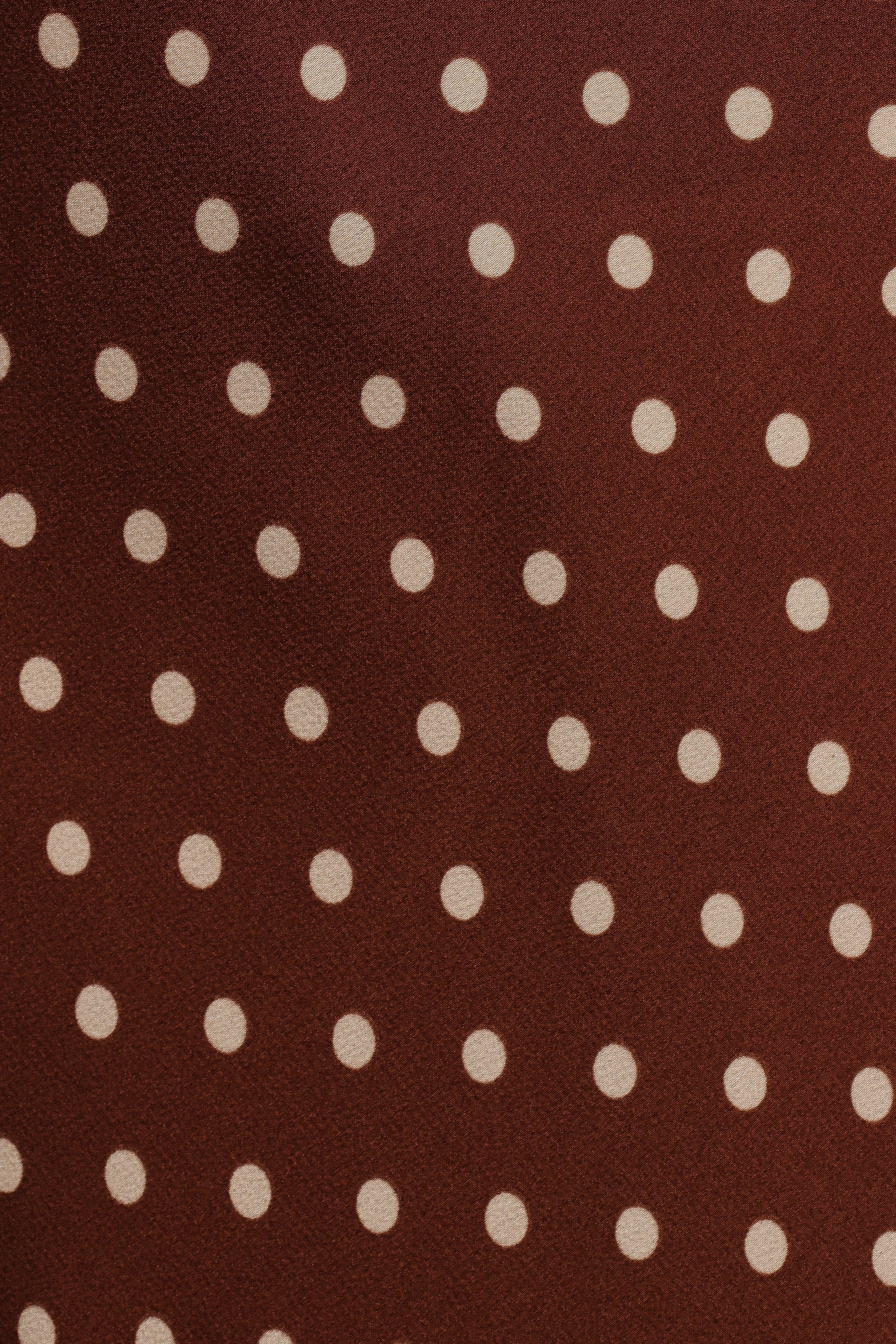 Velman Skirt - Brown Polka Dot